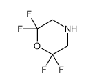 2,2,6,6-TETRAFLUOROMORPHOLINE structure, CAS 65502-95-6