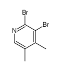 2,3-DIBROMO-4,5-DIMETHYLPYRIDINE structure, CAS 117846-57-8