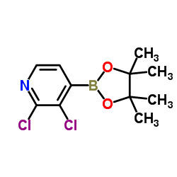 2,3-DICHLORO-4-(4,4,5,5-TETRAMETHYL-1,3,2-DIOXABOROLAN-2-YL)PYRIDINE structure, CAS 1073353-78-2
