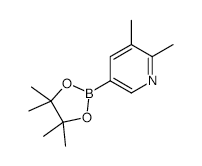 2,3-DIMETHYL-5-(4,4,5,5-TETRAMETHYL-1,3,2-DIOXABOROLAN-2-YL)PYRIDINE structure, CAS 741709-65-9