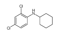 2,4-DICHLORO-N-CYCLOHEXYLANILINE structure, CAS 132666-31-0