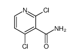 2,4-DICHLORONICOTINAMIDE structure, CAS 70593-56-5