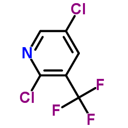 2,5-DICHLORO-3-(TRIFLUOROMETHYL)PYRIDINE structure, CAS 70158-59-7