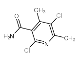 2,5-DICHLORO-4,6-DIMETHYLNICOTINAMIDE structure, CAS 175204-44-1