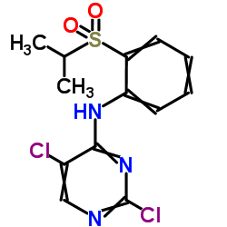 2,5-DICHLORO-N-(2-(ISOPROPYLSULFONYL)PHENYL)PYRIMIDIN-4-AMINE structure, CAS 761440-16-8