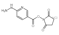 2,5-DIOXOPYRROLIDIN-1-YL 6-HYDRAZINYLNICOTINATE HYDROCHLORIDE structure, CAS 133081-27-3