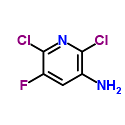 2,6-DICHLORO-5-FLUOROPYRIDIN-3-AMINE structure, CAS 152840-65-8