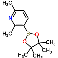 2,6-DIMETHYL-3-(4,4,5,5-TETRAMETHYL-1,3,2-DIOXABOROLAN-2-YL)PYRIDINE structure, CAS 693774-10-6