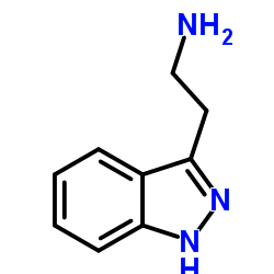 2-(1H-INDAZOL-3-YL)ETHANAMINE structure, CAS 6814-68-2