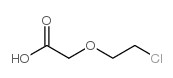 2-(2-CHLOROETHOXY)ACETIC ACID structure, CAS 14869-41-1