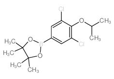 2-(3,5-DICHLORO-4-ISOPROPOXYPHENYL)-4,4,5,5-TETRAMETHYL-1,3,2-DIOXABOROLANE structure, CAS 1218790-28-3