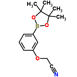 2-(3-(4,4,5,5-TETRAMETHYL-1,3,2-DIOXABOROLAN-2-YL)PHENOXY)ACETONITRILE structure, CAS 936250-18-9