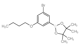 2-(3-BROMO-5-BUTOXYPHENYL)-4,4,5,5-TETRAMETHYL-1,3,2-DIOXABOROLANE structure, CAS 1218790-35-2