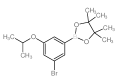 2-(3-BROMO-5-ISOPROPOXYPHENYL)-4,4,5,5-TETRAMETHYL-1,3,2-DIOXABOROLANE structure, CAS 1218790-34-1