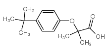 2-(4-(TERT-BUTYL)PHENOXY)-2-METHYLPROPANOIC ACID structure, CAS 76674-58-3