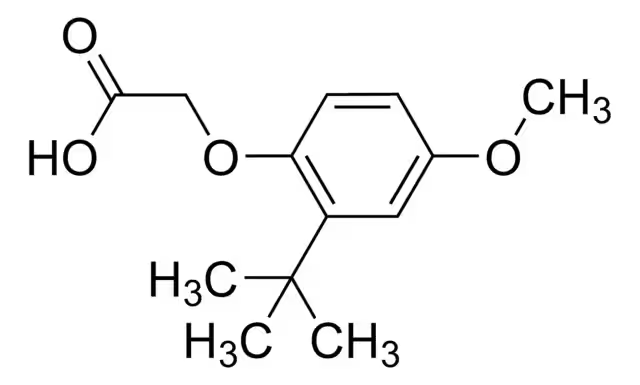 2-(4-(TERT-BUTYL)PHENYLSULFONAMIDO)ACETIC ACID structure, CAS 159855-97-7