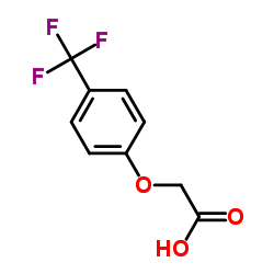 2-(4-(TRIFLUOROMETHYL)PHENOXY)ACETIC ACID structure, CAS 163839-73-4
