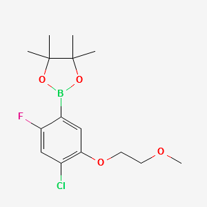 2-(4-CHLORO-2-FLUORO-5-(2-METHOXYETHOXY)PHENYL)-4,4,5,5-TETRAMETHYL-1,3,2-DIOXABOROLANE structure, CAS 1256360-21-0