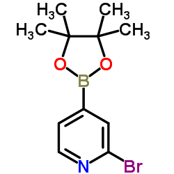 2-BROMO-4-(4,4,5,5-TETRAMETHYL-1,3,2-DIOXABOROLAN-2-YL)PYRIDINE structure, CAS 458532-82-6