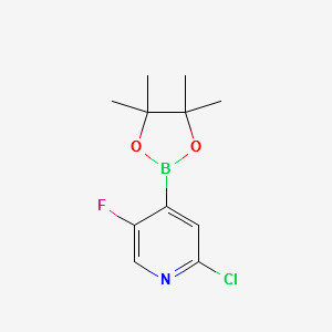 2-CHLORO-5-FLUORO-4-(4,4,5,5-TETRAMETHYL-1,3,2-DIOXABOROLAN-2-YL)PYRIDINE structure, CAS 1256360-62-9