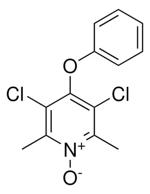 3,5-DICHLORO-4-NITROPYRIDINE 1-OXIDE structure, CAS 18344-58-6