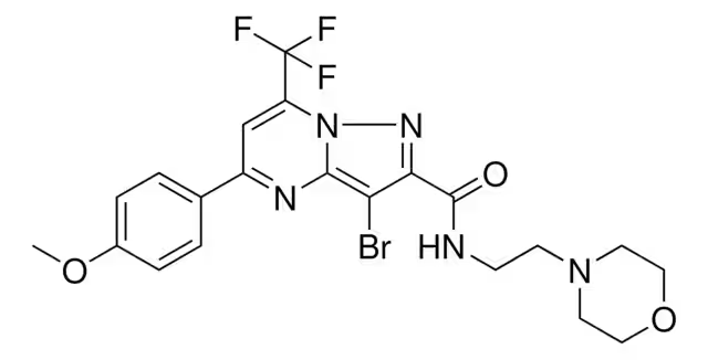 3-BROMO-N-ETHYL-5-(TRIFLUOROMETHYL)BENZENESULFONAMIDE structure, CAS 951884-79-0