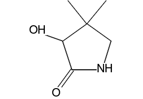 3-HYDROXY-4,4-DIMETHYLPYRROLIDIN-2-ONE structure, CAS 70006-38-1