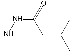 3-METHYLBUTANEHYDRAZIDE structure, CAS 24310-18-7