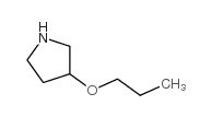 3-PROPOXYPYRROLIDINE structure, CAS 946681-61-4