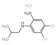 4,5-DICHLORO-N1-ISOBUTYLBENZENE-1,2-DIAMINE HYDROCHLORIDE structure, CAS 957035-41-5