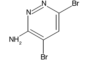 4,6-DIBROMOPYRIDAZIN-3-AMINE structure, CAS 1206487-35-5