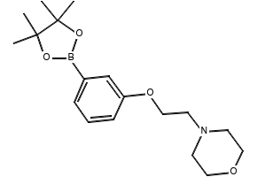 4-(2-(3-(4,4,5,5-TETRAMETHYL-1,3,2-DIOXABOROLAN-2-YL)PHENOXY)ETHYL)MORPHOLINE structure, CAS 756520-70-4
