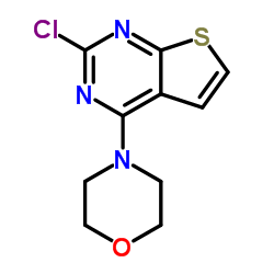 4-(2-CHLOROTHIENO[2,3-D]PYRIMIDIN-4-YL)MORPHOLINE structure, CAS 63894-67-7