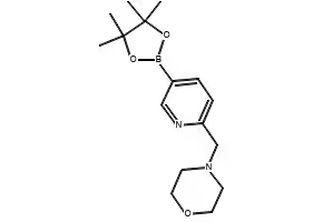 4-(3-METHYL-5-(4,4,5,5-TETRAMETHYL-1,3,2-DIOXABOROLAN-2-YL)PYRIDIN-2-YL)MORPHOLINE structure, CAS 1073372-03-8