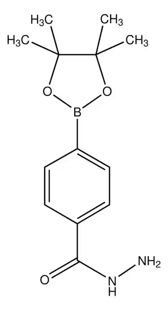 4-(4,4,5,5-TETRAMETHYL-1,3,2-DIOXABOROLAN-2-YL)BENZOHYDRAZIDE structure, CAS 276694-16-7