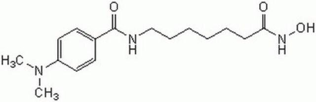 4-(DIMETHYLAMINO)-N-(7-(HYDROXYAMINO)-7-OXOHEPTYL)BENZAMIDE structure, CAS 251456-60-7