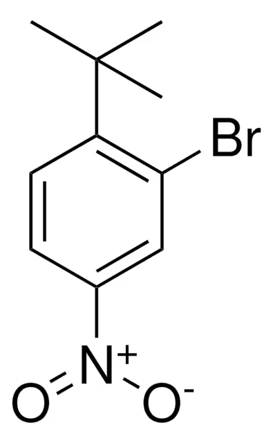4-BROMO-2-TERT-BUTYL-1-NITROBENZENE structure, CAS 923547-56-2