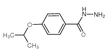 4-ISOPROPOXYBENZOHYDRAZIDE structure, CAS 90873-17-9