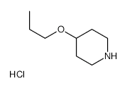 4-PROPOXYPIPERIDINE HYDROCHLORIDE structure, CAS 903891-77-0