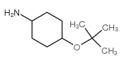 4-TERT-BUTOXYCYCLOHEXANAMINE structure, CAS 951625-97-1