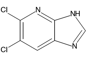 5,6-DICHLORO-3H-IMIDAZO[4,5-B]PYRIDINE structure, CAS 189102-97-4