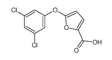 5-(3,5-DICHLOROPHENOXY)FURAN-2-CARBOXYLIC ACID structure, CAS 175277-06-2
