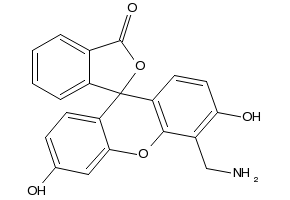 5-(AMINOMETHYL)-3',6'-DIHYDROXY-3H-SPIRO[ISOBENZOFURAN-1,9'-XANTHEN]-3-ONE HYDROCHLORIDE structure, CAS 141749-41-9