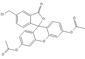 5-(CHLOROMETHYL)-3-OXO-3H-SPIRO[ISOBENZOFURAN-1,9'-XANTHENE]-3',6'-DIYL DIACETATE structure, CAS 136832-63-8