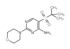 5-(TERT-BUTYLSULFONYL)-2-MORPHOLINOPYRIMIDIN-4-AMINE structure, CAS 175202-11-6