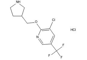 5-NITRO-2-(PIPERIDIN-3-YLMETHOXY)PYRIDINE HYDROCHLORIDE structure, CAS 1185307-86-1