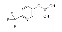 6-(TRIFLUOROMETHYL)PYRIDIN-3-YL DIHYDROGEN BORATE structure, CAS 1002127-21-0