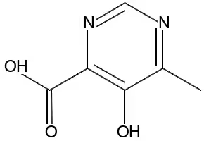 6-HYDROXY-5-METHYLPYRIMIDINE-4-CARBOXYLIC ACID structure, CAS 1159010-94-2
