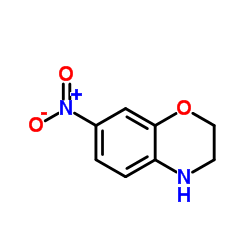 7-NITRO-3,4-DIHYDRO-2H-1,4-BENZOOXAZINE structure, CAS 120711-81-1