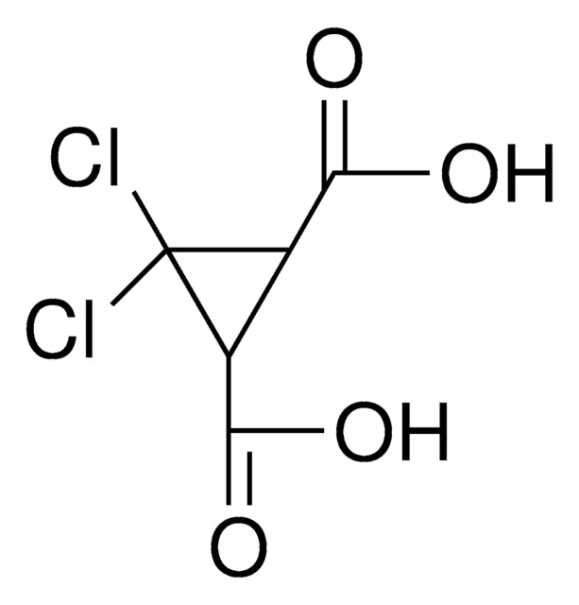 CYCLOPROPYL(1,4-DIAZEPAN-1-YL)METHANONE structure, CAS 926237-53-8